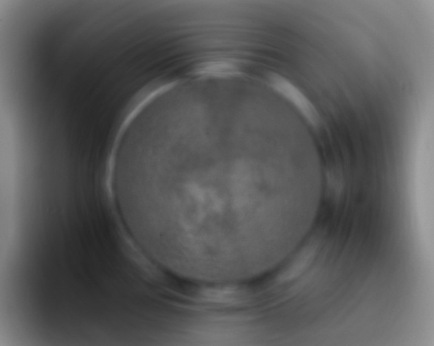 X0000092331386200709211259