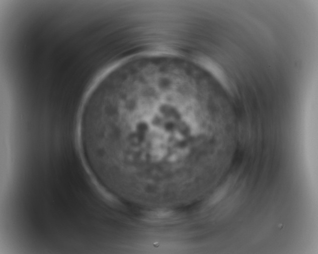 X0000092331387200709211259