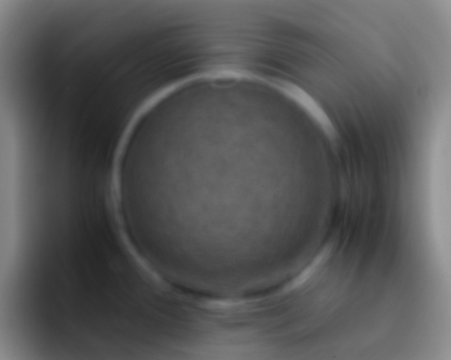 X0000092331388200709211259