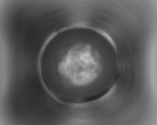 X0000092331389200709211259