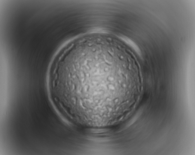 X0000092331391200709211259