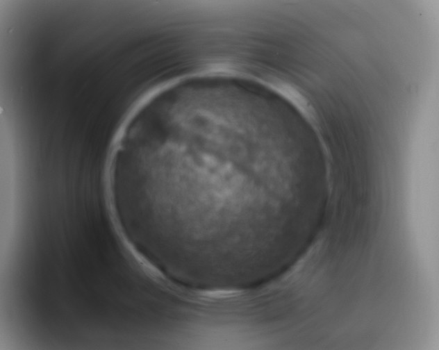 X0000092331392200709211259