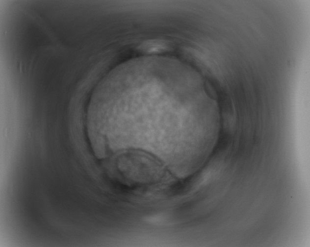 X0000092331393200709211259