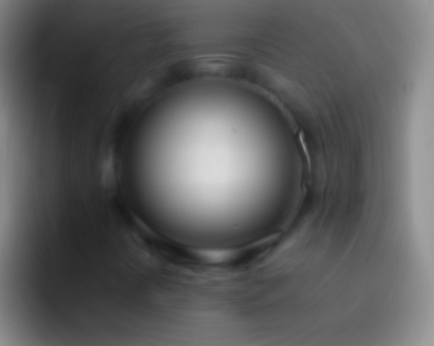 X0000092331394200709211259