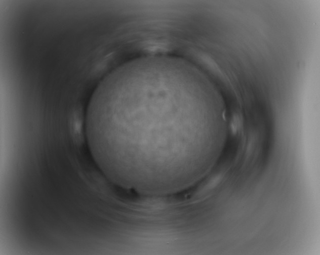 X0000092331396200709211259