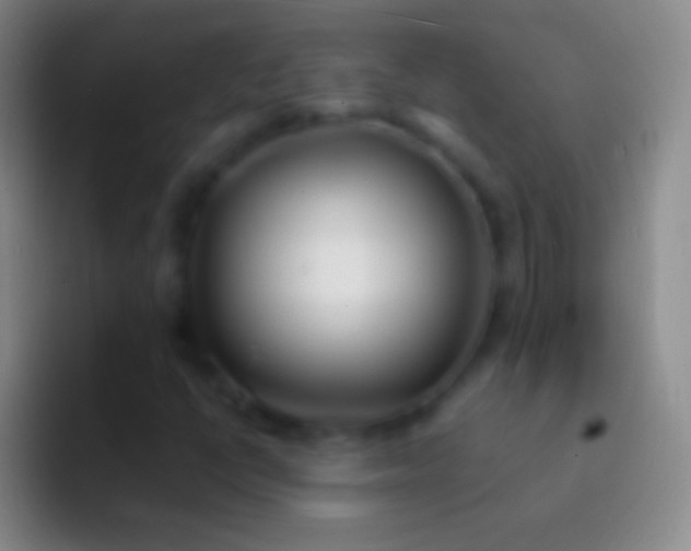 X0000092331398200709211259