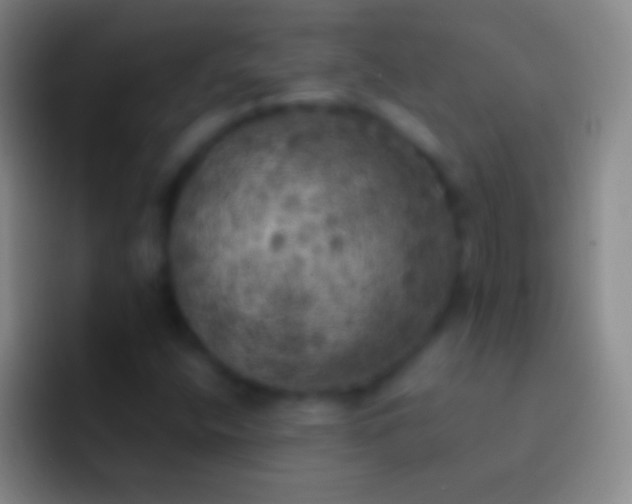 X0000092331400200709211259