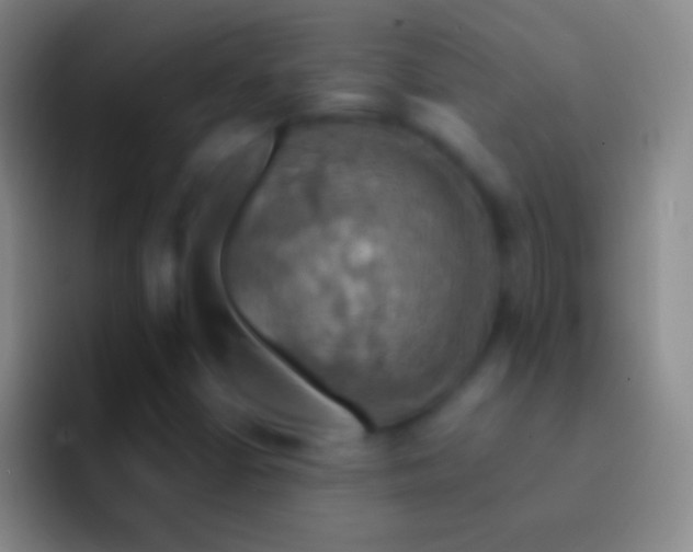 X0000092331402200709211259