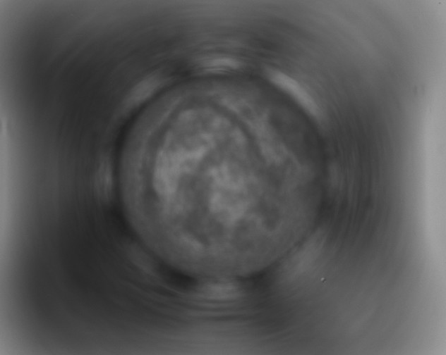 X0000092331403200709211259