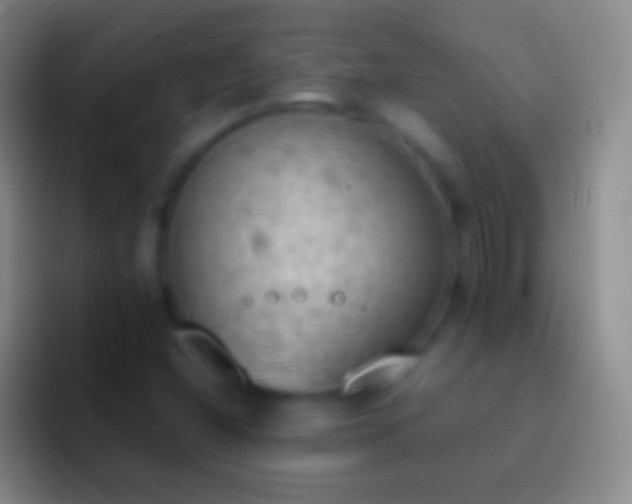 X0000092331404200709211259