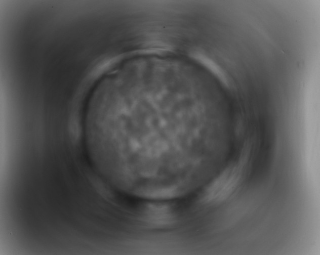 X0000092331407200709211259