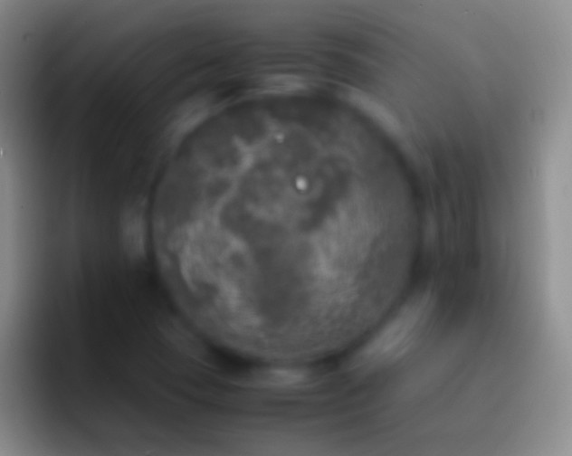 X0000092331409200709211259