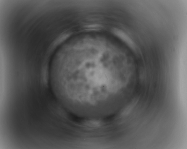 X0000092331411200709211259