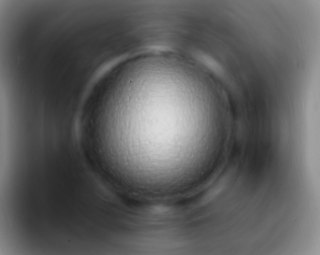 X0000092331412200709211259