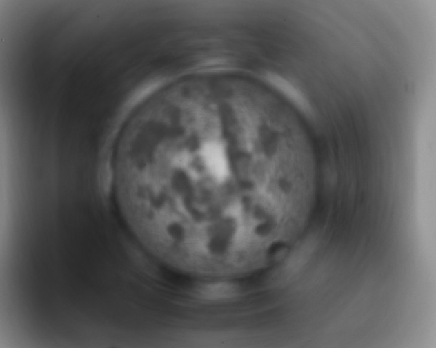 X0000092331413200709211259