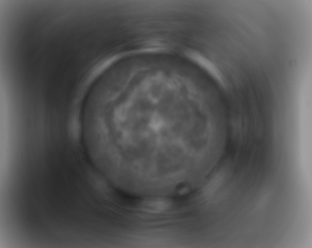 X0000092331415200709211259