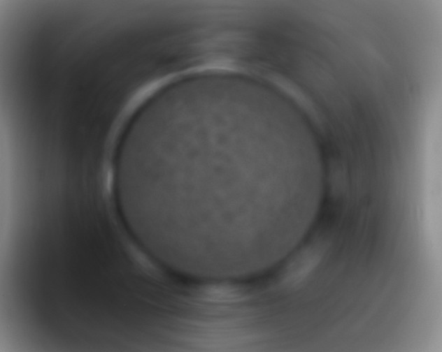 X0000092331416200709211259