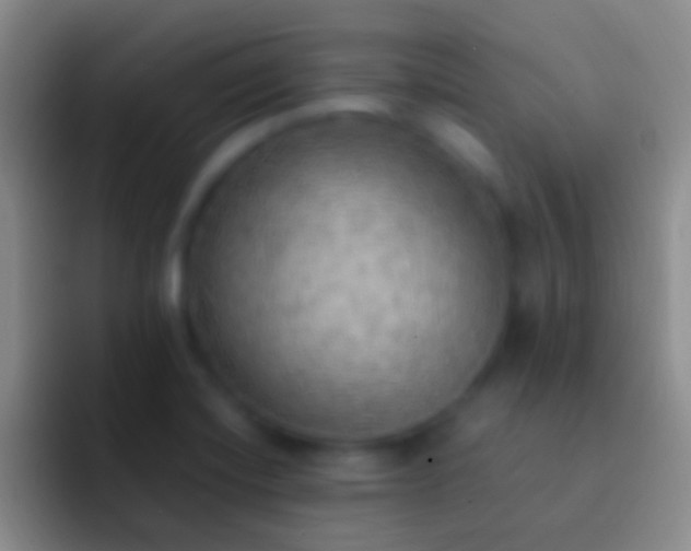 X0000092331420200709211259