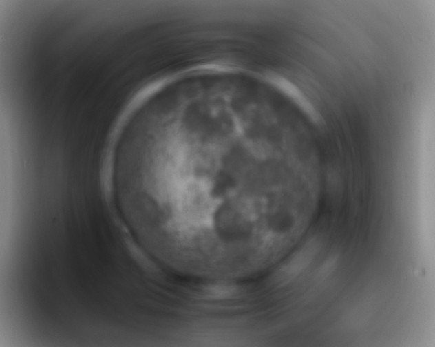 X0000092331421200709211259