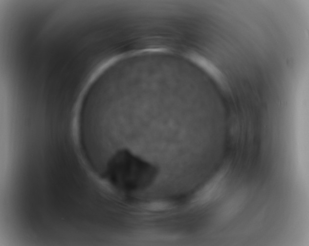 X0000092331423200709211259