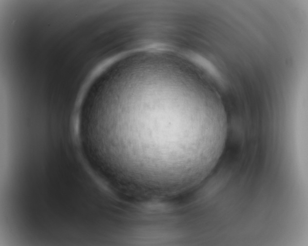 X0000092331424200709211259