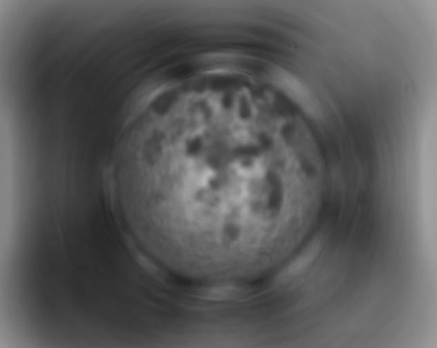 X0000092331425200709211259