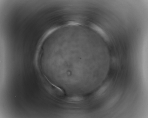 X0000092331427200709211259