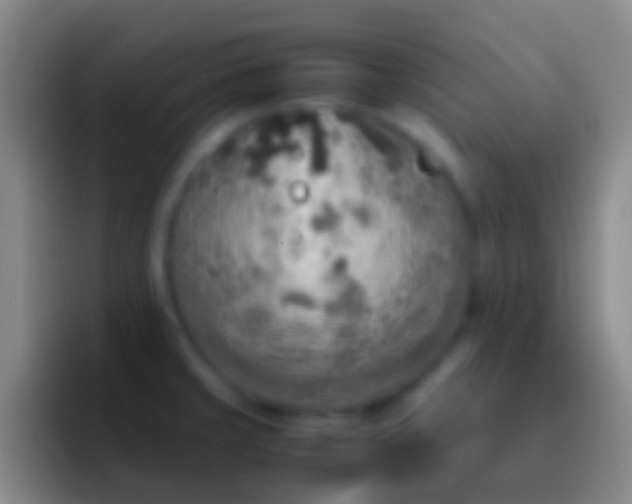 X0000092331429200709211259