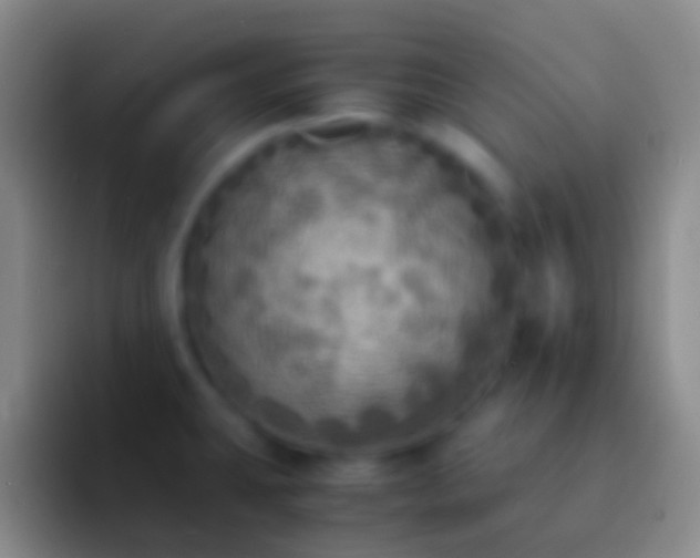 X0000092331431200709211259
