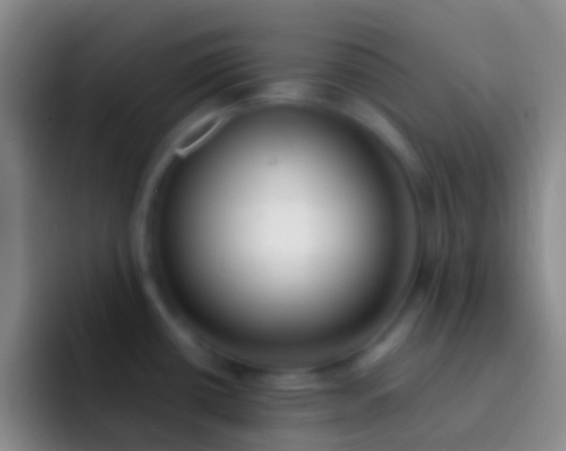 X0000092331434200709211259