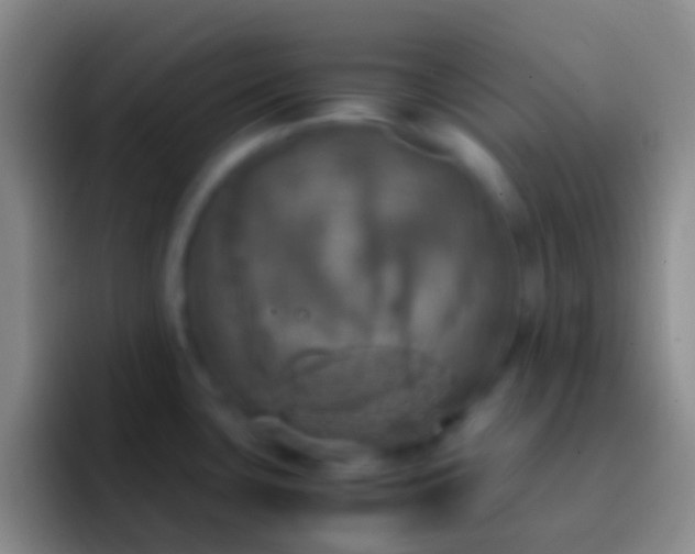 X0000092331435200709211259