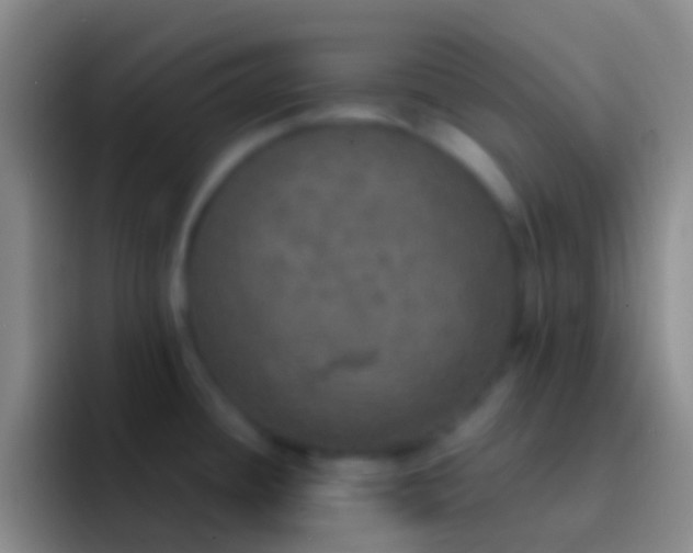 X0000092331436200709211259