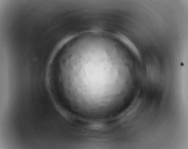 X0000092331437200709211259