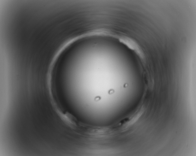 X0000092331438200709211259