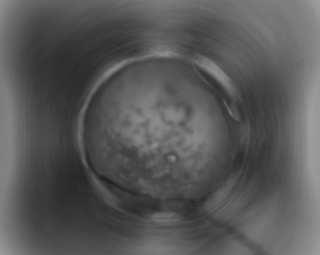 X0000092331439200709211259