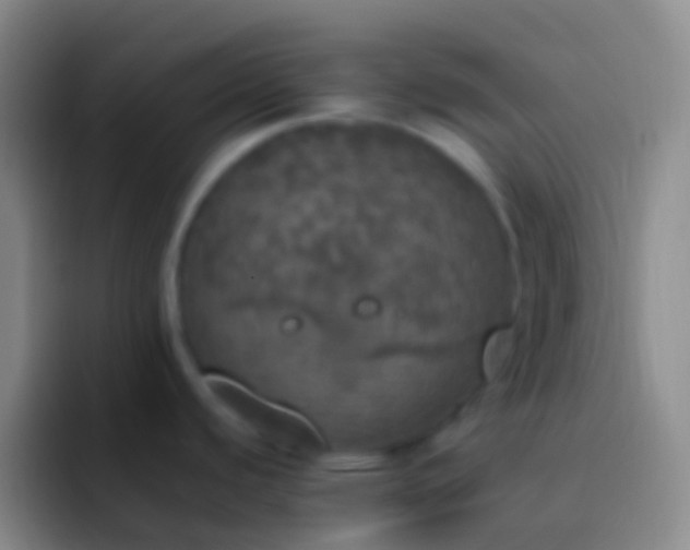 X0000092331440200709211259