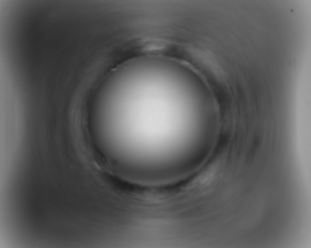 X0000092331441200709211259