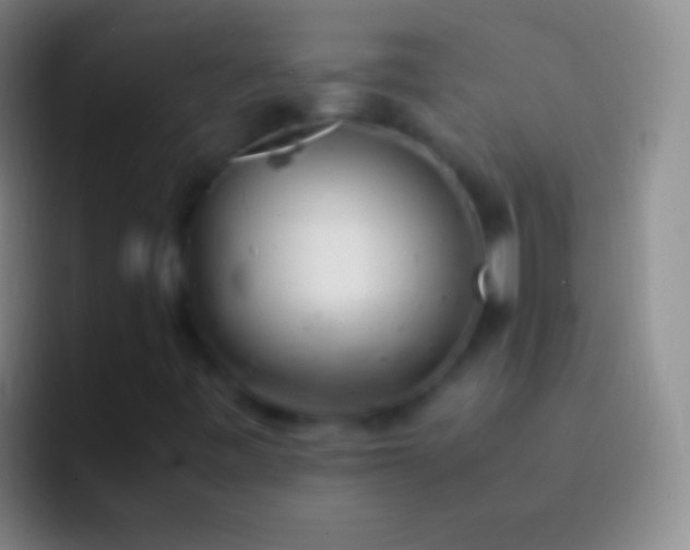 X0000092331443200709211259