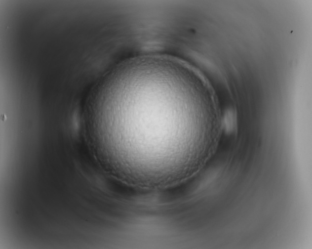 X0000092331444200709211259