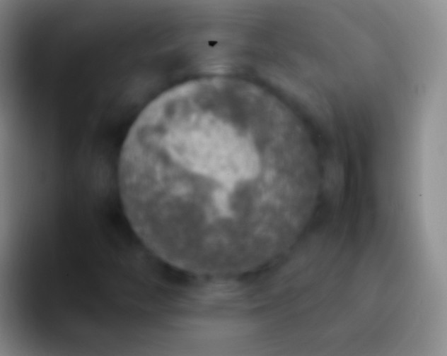 X0000092331446200709211259