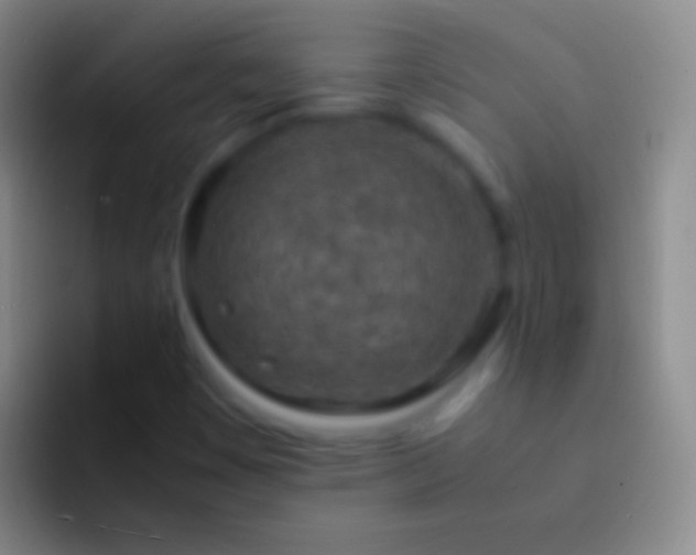 X0000092331449200709211259