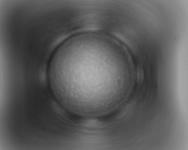 X0000092331452200709211258