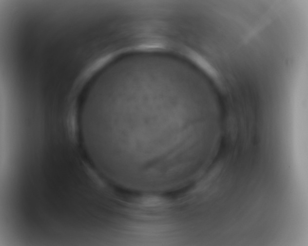 X0000092331456200709211258