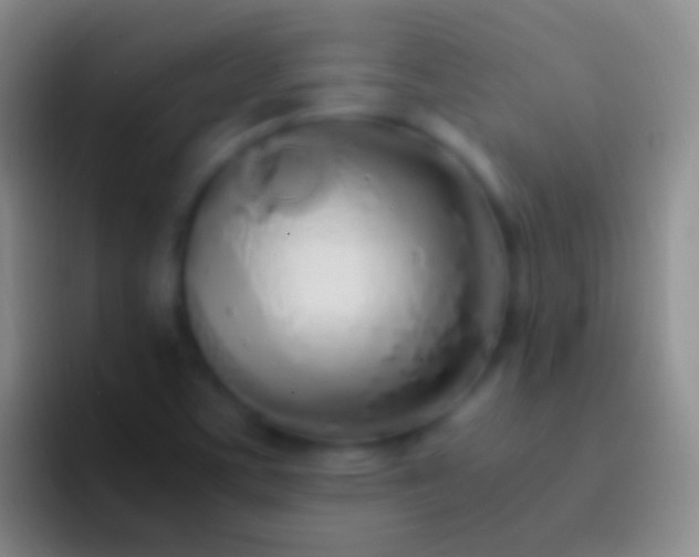 X0000092331459200709211258