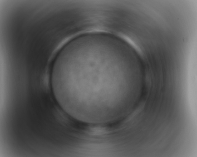 X0000092331460200709211258
