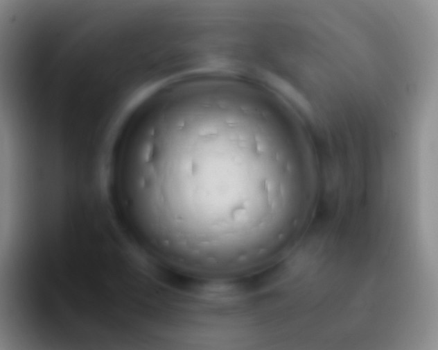 X0000092331463200709211258