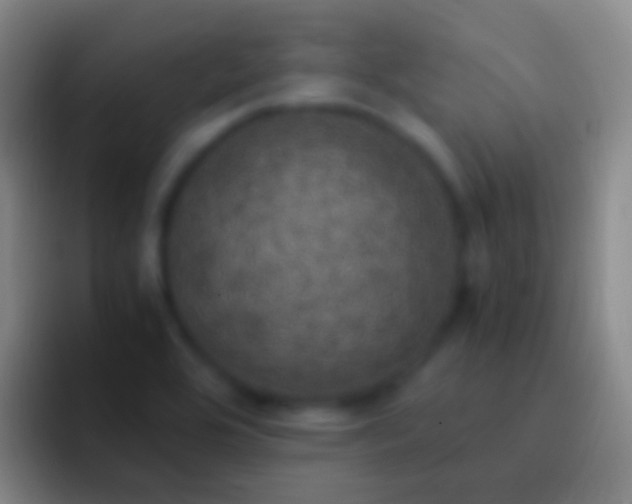 X0000092331464200709211258