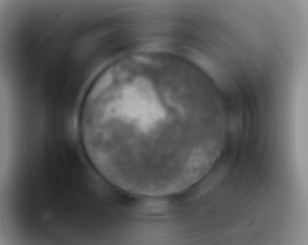 X0000092331466200709211258