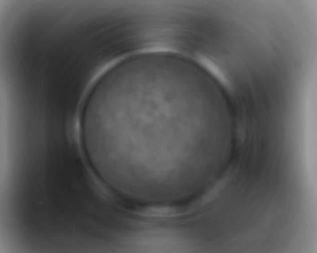 X0000092331468200709211258