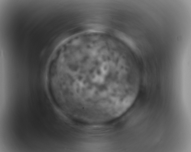 X0000092331471200709211258
